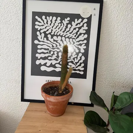 Near Station Kelkheim