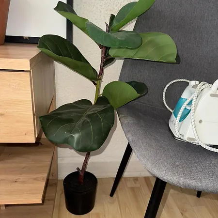 Near Station Kelkheim