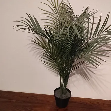 Daire Near Station Kelkheim