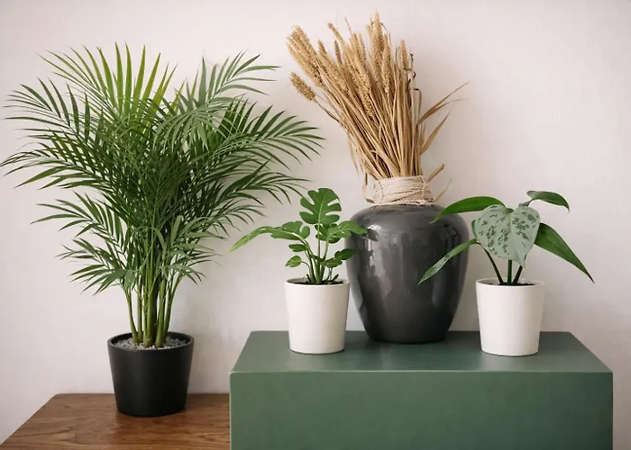 Apartamento Near Station